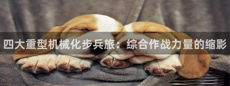 万事娱乐测速