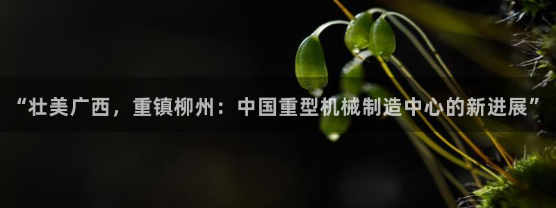 万事娱乐代理加盟电话