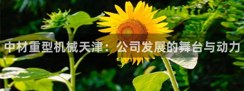万事达娱乐i 判官