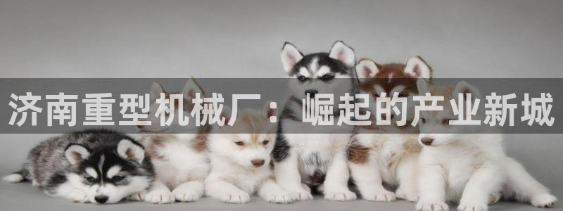 万事娱乐招商主管招聘