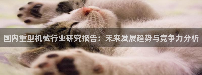 万事娱乐平台手机下载