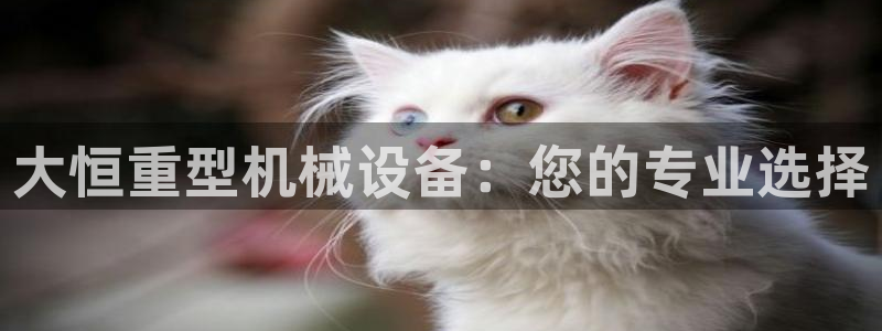 万事达娱乐指尖下腊